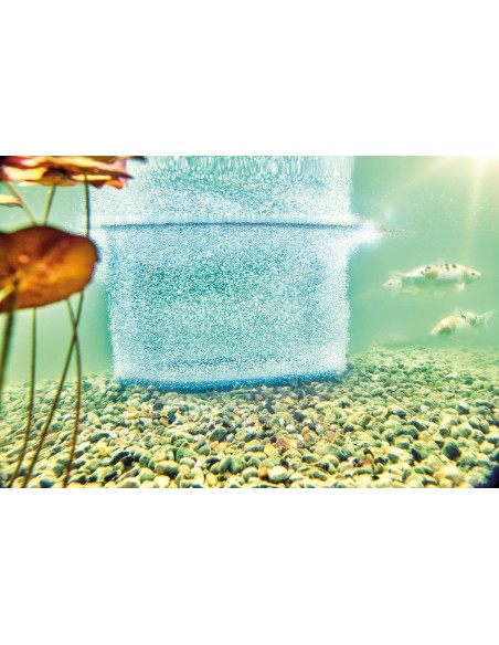 Aquaoxy anneau diffuseur D 60cm