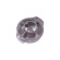 4- Carter de pompe ASE 2500 Pontec