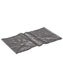 15- Tapis Biotec  Screenmatic 140000 Oase