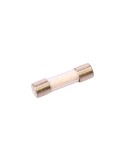8- Fusible T8A 250 V