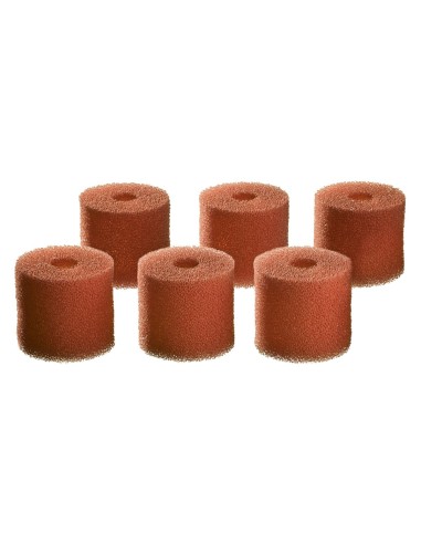 Set 6 mousses Biomaster