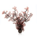 BiOrb Corail moyen couleurs d\'automne Oase