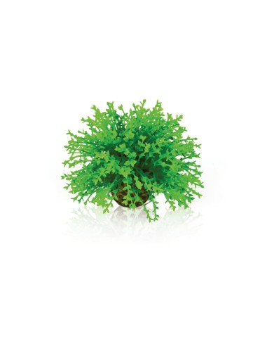 biOrb boule topiaire verte oase