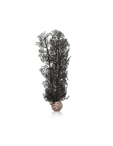 BiOrb corail moyen noir Oase