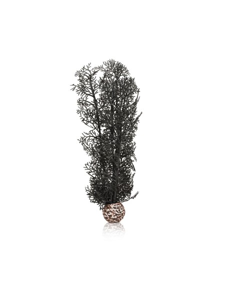 BiOrb corail moyen noir Oase