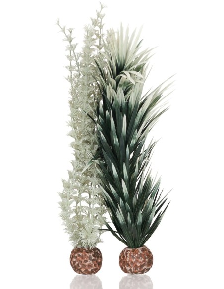 Decor Biorb Grey/Green Ambulia M