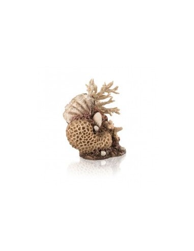 biOrb Ornement corail naturel et coquillages