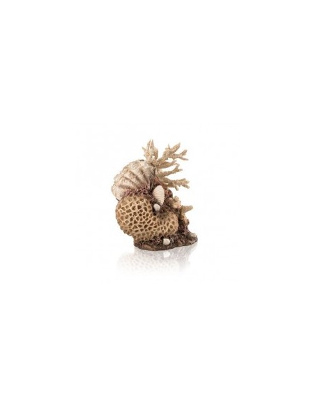 biOrb Ornement corail naturel et coquillages