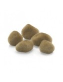 biOrb Galets sable