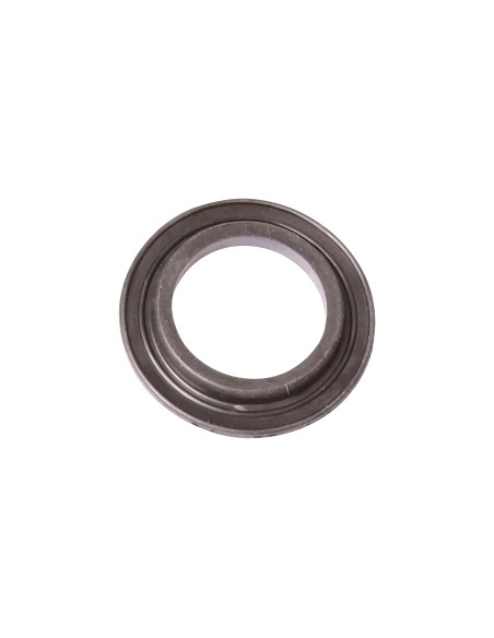 Pièce détachée pour Filtral 5000 Oase