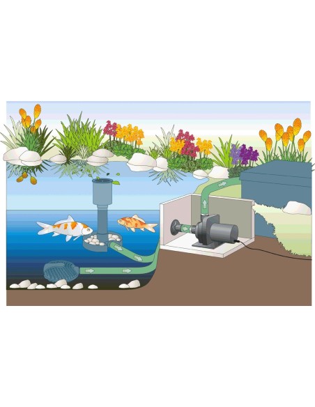 Comparatif des courbes de performance