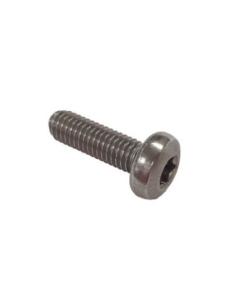 Screw Torx V2A ISO14583 M6x20 Gleitmo615