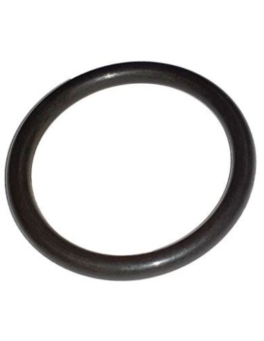 O-Ring FKM 25 x 3 SH75 A