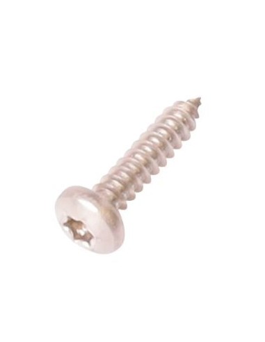 Vis cyl. bom. Torx V2A DIN7981 4,8 x 22