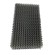 Clear Wave XL 2021
