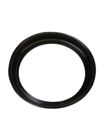 Bague caoutchouc pompe de rinçage