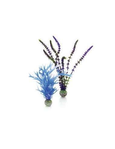 Biorb set de plantes moyennes bleues et violettes Oase