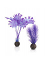 BiOrb petit set de plantes violettes Oase