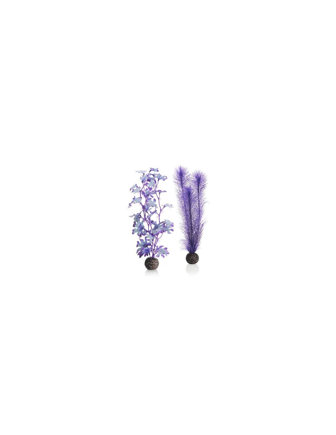 BiOrb set de plantes moyennes violettes Oase