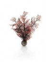 Biorb petit corail couleurs d'automne Oase