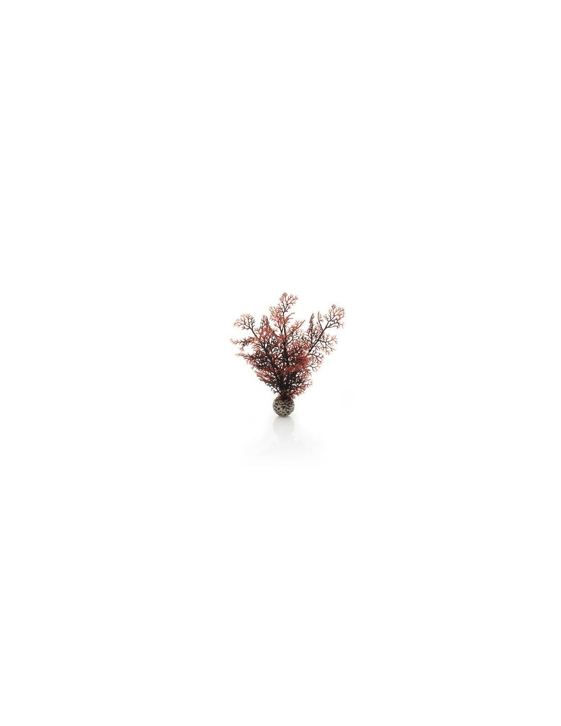 BiOrb petit corail couleurs d'automne Oase