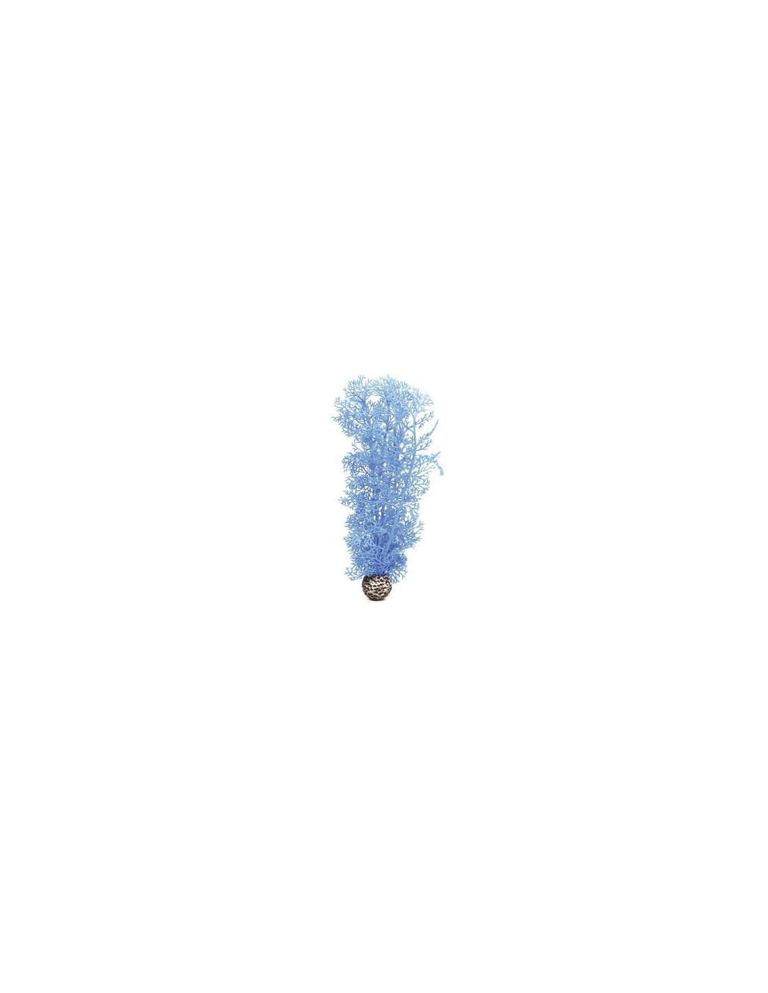 BiOrb corail moyen  bleu Oase