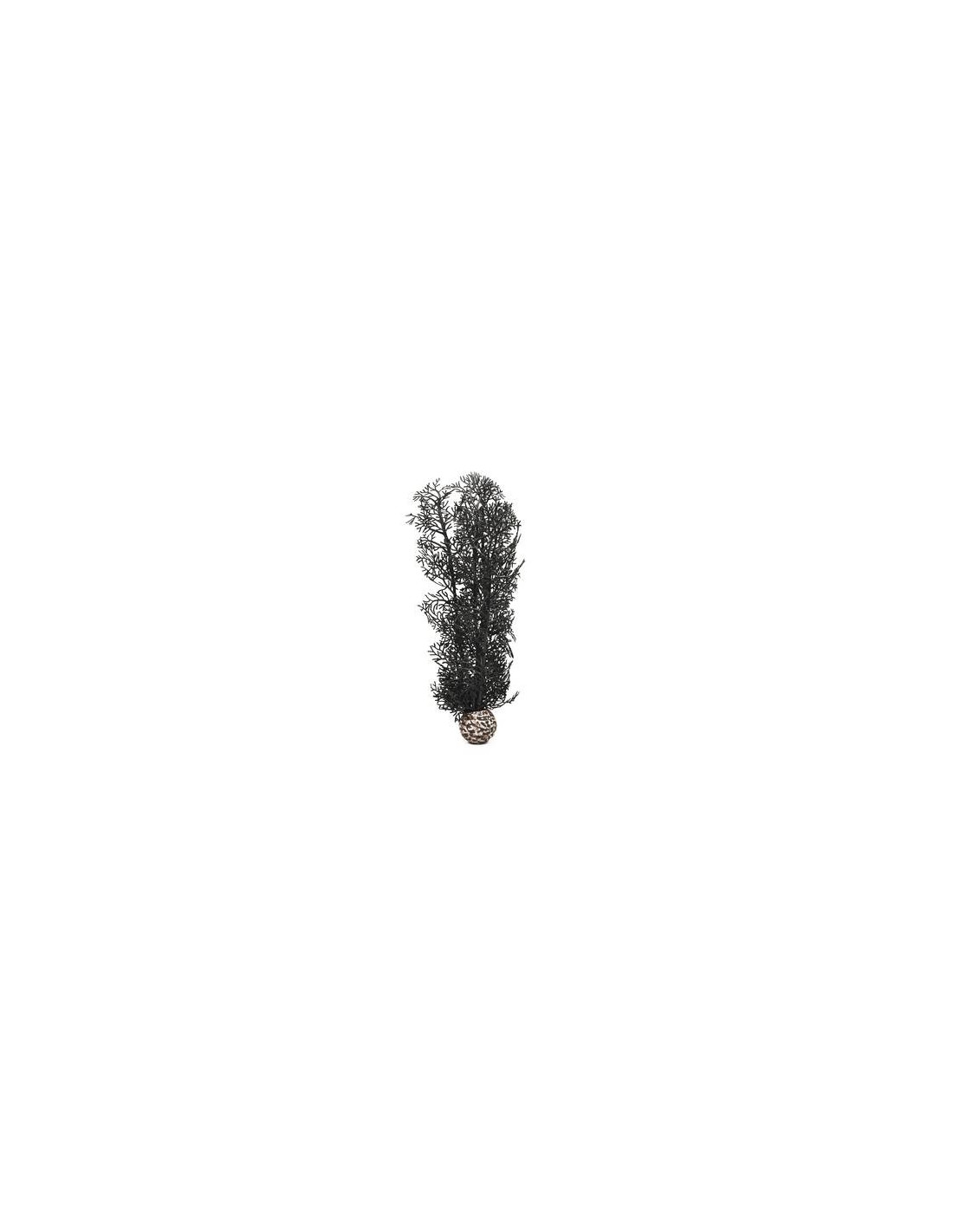 BiOrb corail moyen noir Oase