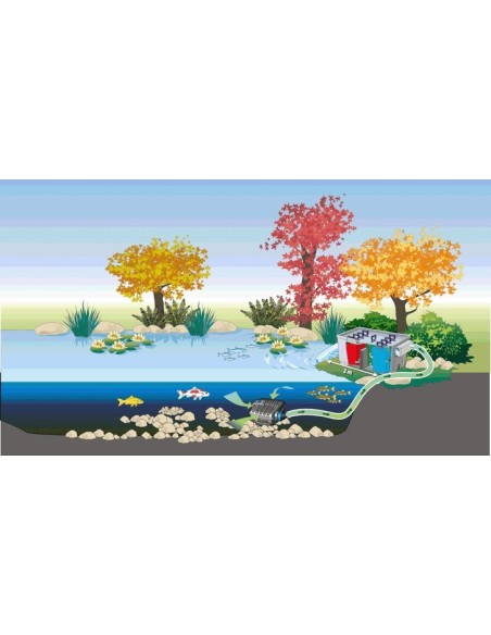 Positionnement du filtre en milieu naturel