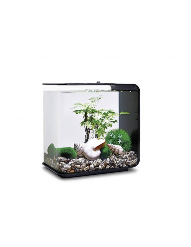Déco aquarium : Décoration et accessoires pour aquarium - botanic®