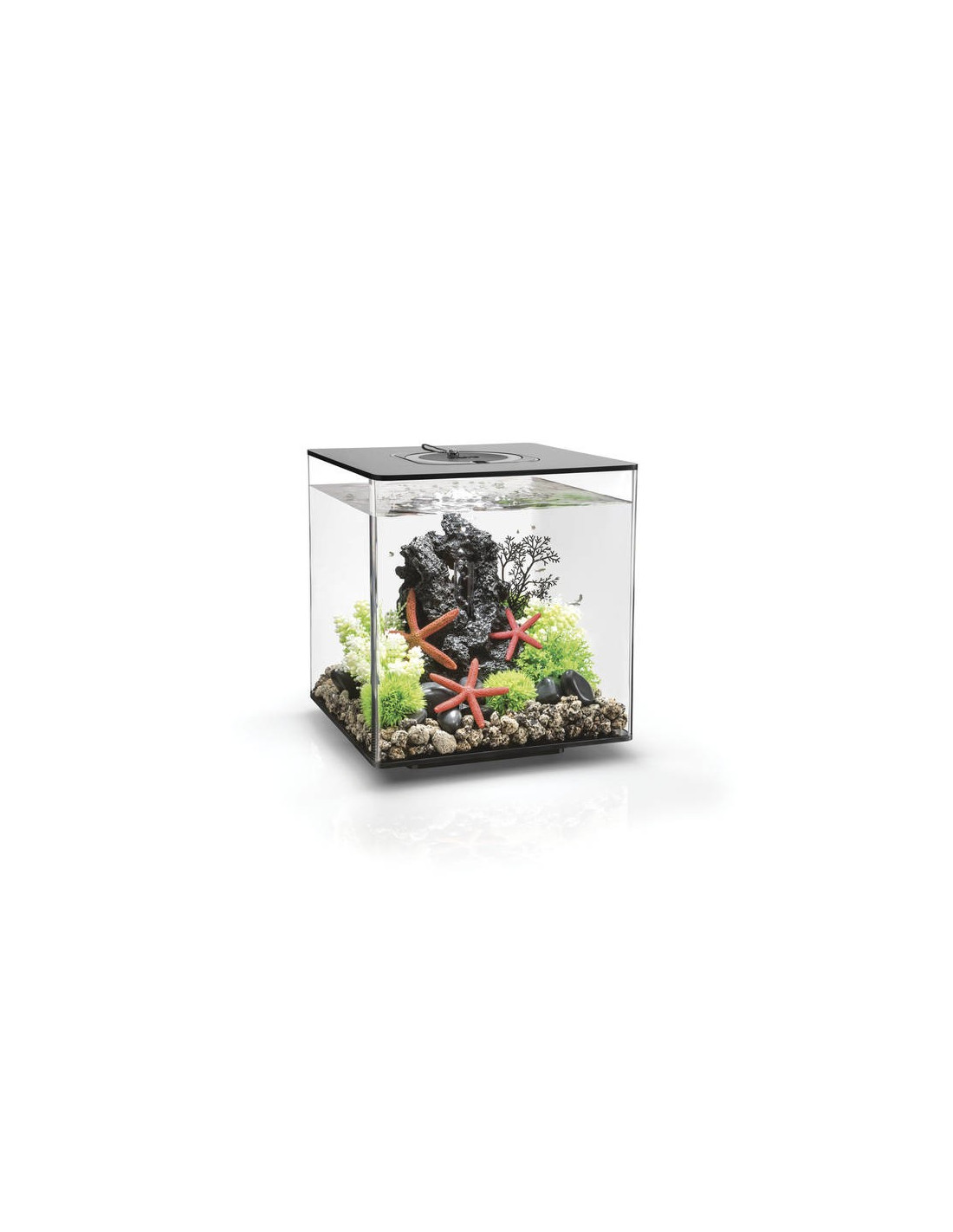Aquarium biOrb Cube 30 MCR  noir