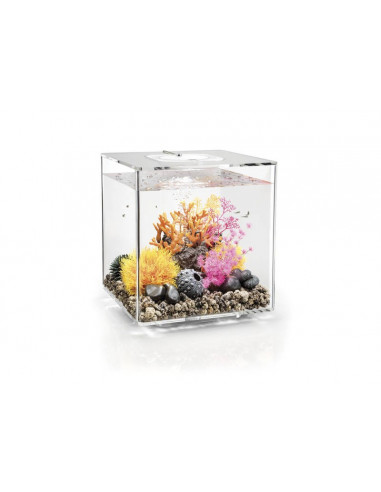 Aquarium biOrb Cube 30 MCR  transparent