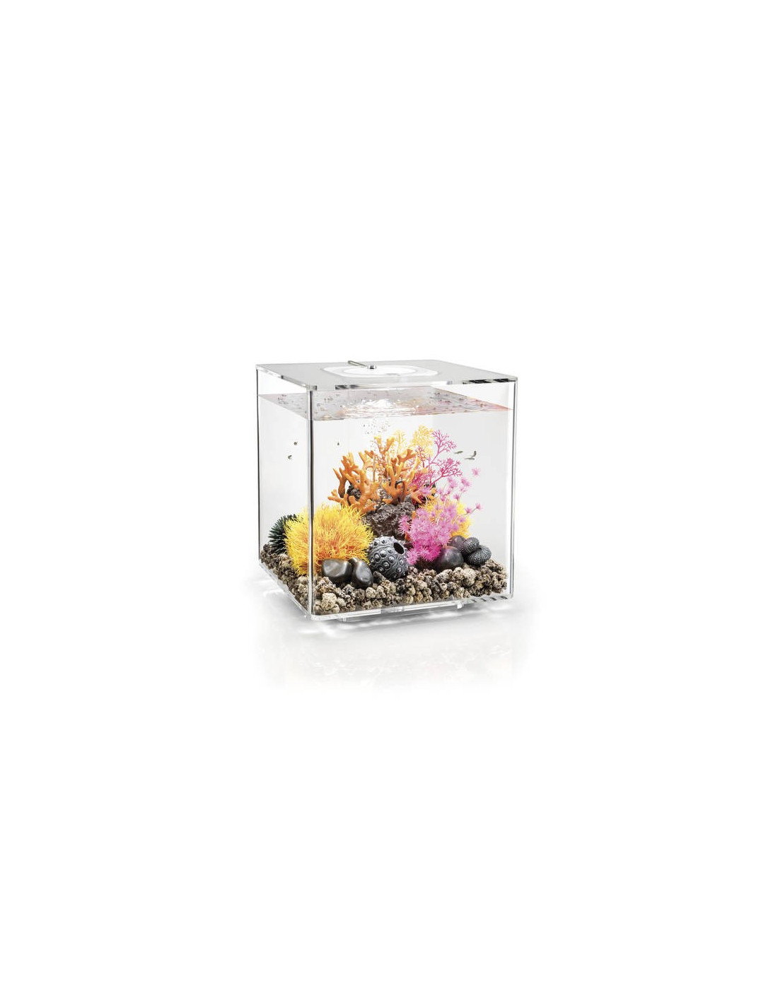 Aquarium biOrb Cube 30 MCR  transparent