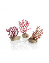 biOrb set de coraux branche