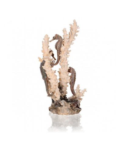 biOrb Hypocampes sur corail naturel M