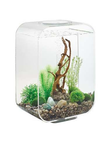 Tuyau transparent pour pompe à air et aquarium - Décor Aquatique