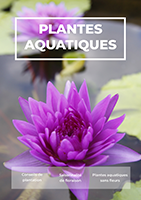 Catalogue Plantes Aquatiques