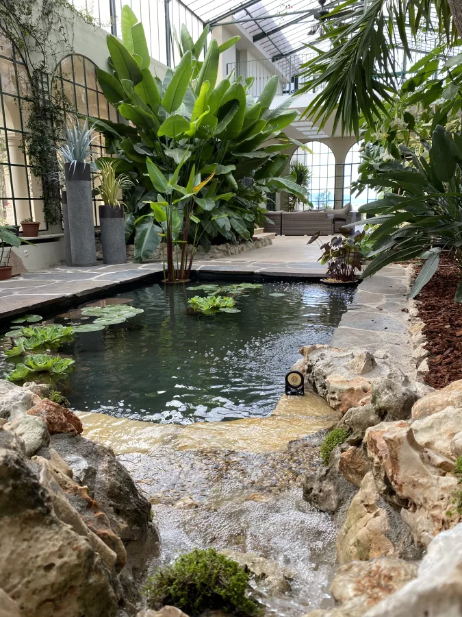 Bassin de jardin